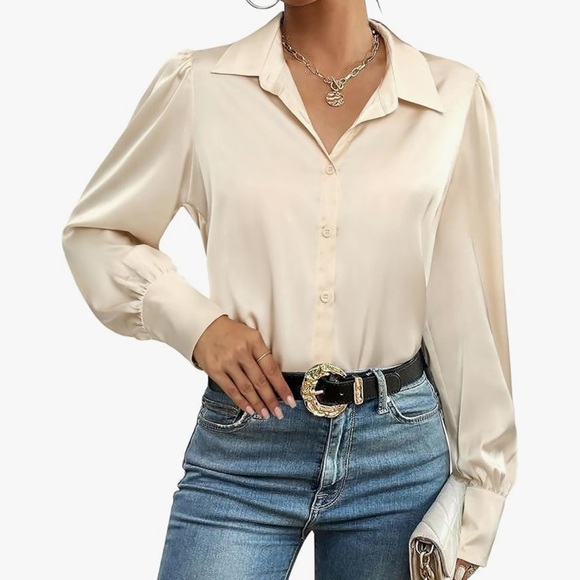 Fabulous Loose Fit Long Sleeve Satin Button Down Blouse Shirt - Picture 1 of 2